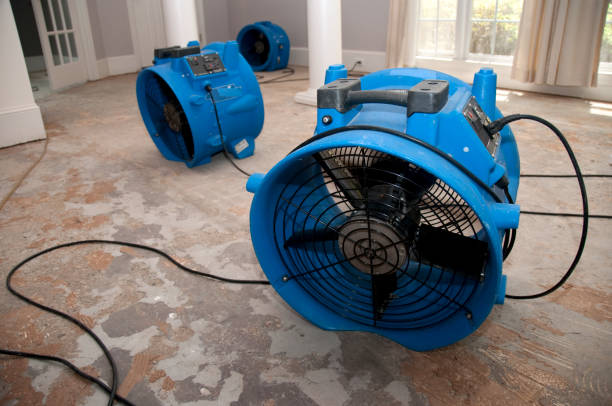 Best Ceiling water damage repair  in Hope Valley, RI